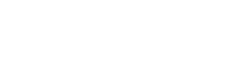 Logo Dinum h