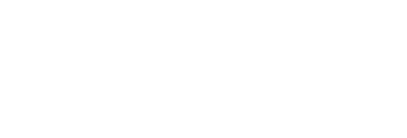 Logo Intersport h