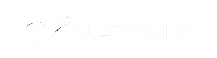 Logo Natixis h